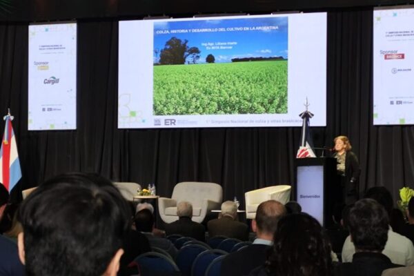 La oportunidad estratégica de la colza: “Argentina se está perdiendo un negocio muy importante”