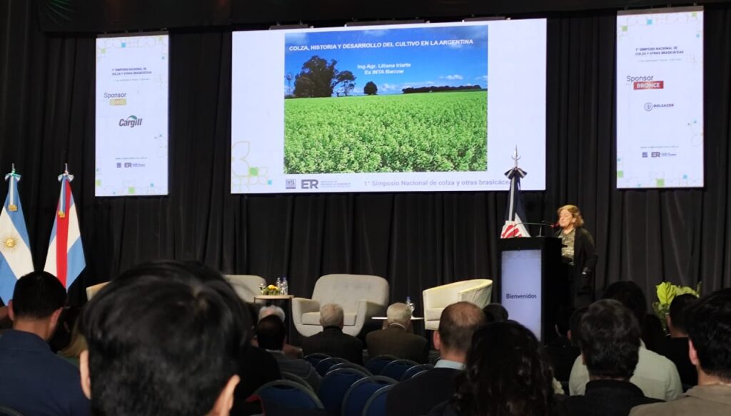 La oportunidad estratégica de la colza: “Argentina se está perdiendo un negocio muy importante”