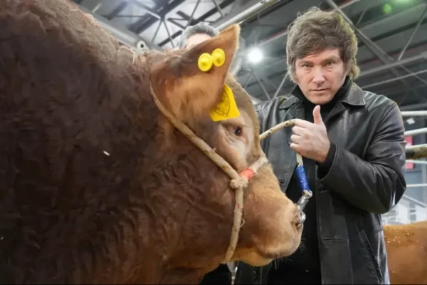 Milei vuelve a ir a Palermo, para mostrarse junto al campo: estará en el Centenario Hereford