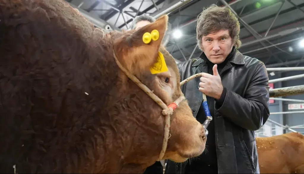 Milei vuelve a ir a Palermo, para mostrarse junto al campo: estará en el Centenario Hereford