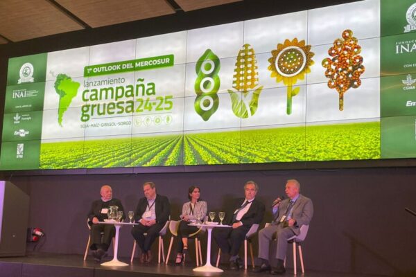 Las exportaciones de granos del Mercosur podrían crecer en U$S 35.500 millones en la próxima década