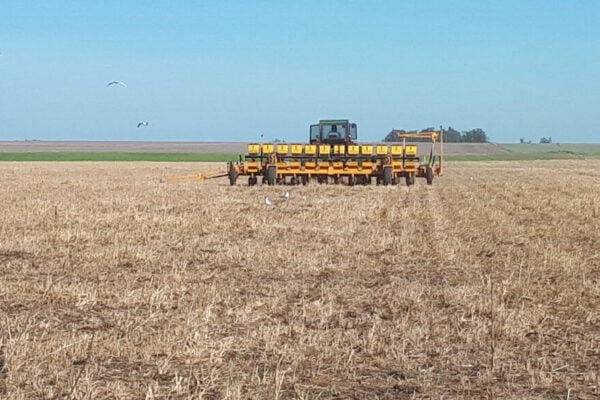 En busca de la rentabilidad perdida: en una provincia clave, no dan los números para la siembra gruesa
