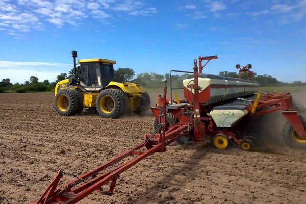 La soja va rumbo a una siembra con crecimiento, pero con varios obstáculos en el camino