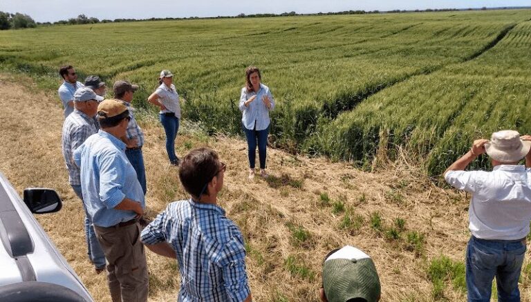 En los 15 años del Sistema Chacras, 400.000 hectáreas celebran una mayor sustentabilidad