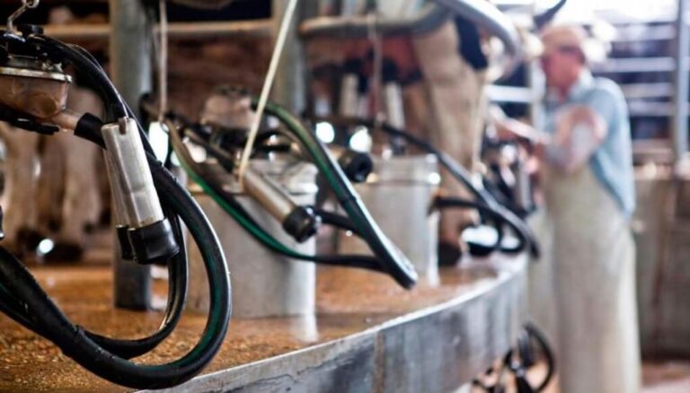 Un aire fresco para los tambos: por primera vez en cinco años, tuvieron más de 5% de rentabilidad