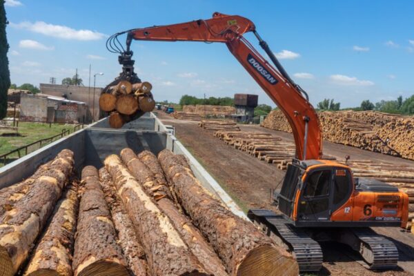 La cadena forestal reclama mejoras logísticas para impulsar más inversiones y exportaciones