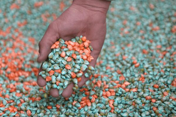 La rebaja del Impuesto PAIS activó las importaciones de fertilizantes, que estuvieron cerca de un récord La rebaja del Impuesto PAIS activó las importaciones de fertilizantes, que estuvieron cerca de un récord