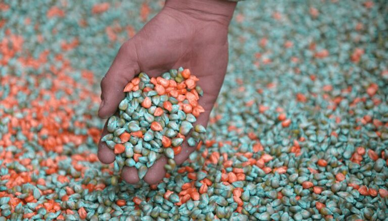 La rebaja del Impuesto PAIS activó las importaciones de fertilizantes, que estuvieron cerca de un récord