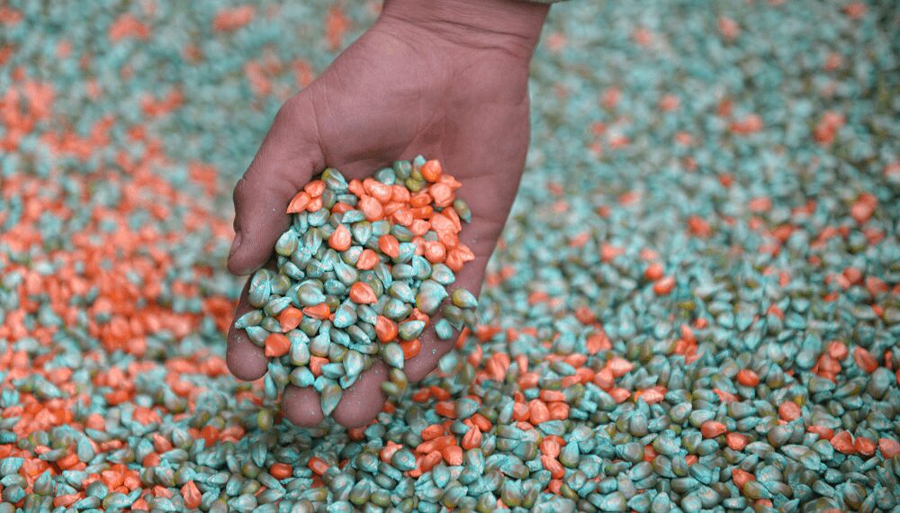 La rebaja del Impuesto PAIS activó las importaciones de fertilizantes, que estuvieron cerca de un récord