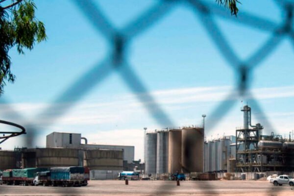 Vicentin: productores piden a la Corte Suprema de Santa Fe que habilite de una buena vez el plan de pagos Vicentin: productores piden a la Corte Suprema de Santa Fe que habilite de una buena vez el plan de pagos