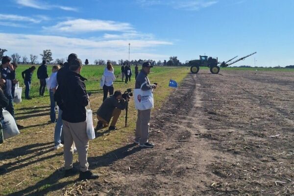 Control de malezas con mapeo digital y drones: una clave en la presiembra de maíz y soja Control de malezas con mapeo digital y drones: una clave en la presiembra de maíz y soja