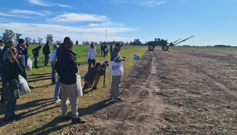 Control de malezas con mapeo digital y drones: una clave en la presiembra de maíz y soja