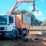 Confirmados 2.385 casos de la EHE con 414 animales muertos en prácticamente toda la geografía de Cantabria