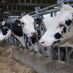 Galicia también reclama que les se abone el 70% de las ayudas directas de la PAC y critica a la Xunta que solo haya pagado el 30%