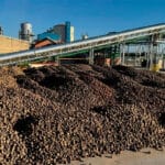 Arranca la campaña remolachera 24-25 en ACOR, en la que se prevé molturar 1.300.000 toneladas provenientes de más de 12.000 hectáreas