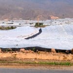 Agroseguro recuerda que los daños por la DANA están cubiertos por el sistema de seguros agrarios y habilita un correo electrónico específico
