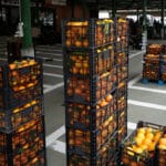 Denuncian un aumento del 36% de las alertas europeas en productos hortofrutícolas importados con materias activas no autorizadas aquí