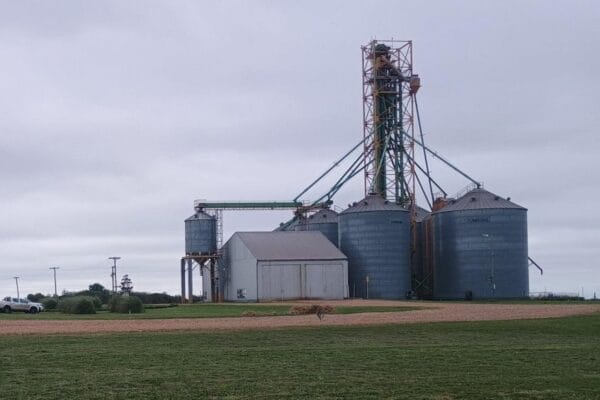 Una gigante del agro se expande en Argentina: compró su primera planta de acopio en Entre Ríos