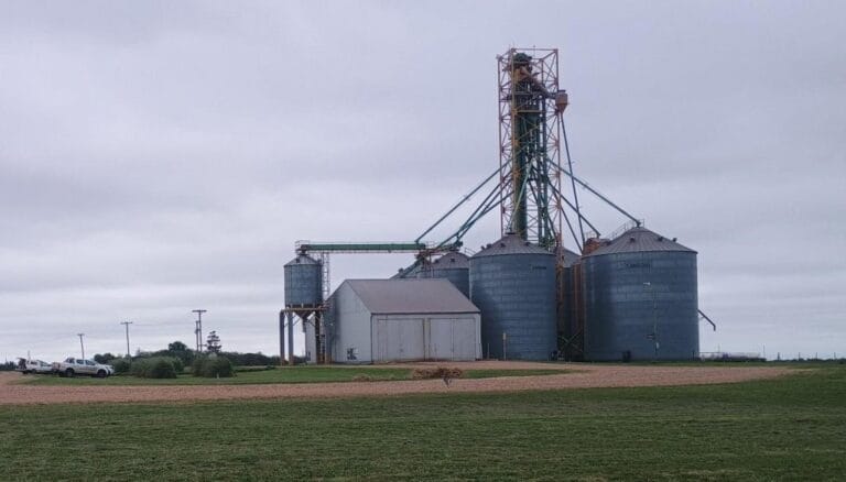 Una gigante del agro se expande en Argentina: compró su primera planta de acopio en Entre Ríos