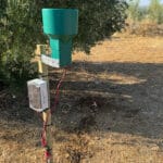 Diseñan un proyecto para optimizar el riego en el olivar utilizando tecnologías como IoT, Big Data e inteligencia artificial 