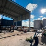 No hay respiro en el campo: La cooperativa El Progreso termina la vendimia y recoge ahora la aceituna en verde para su AOVE DOP Montes de Toledo