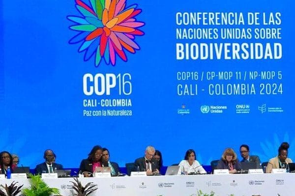 ¿Cómo financiar los cambios que requiere el cambio climático?: La Sociedad Rural Argentina expuso en Colombia