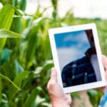El Ministerio de Agricultura mantiene abierto el plazo de inscripción para el curso de asesoramiento a explotaciones agrícolas y ganaderas