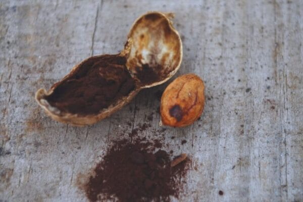 Una enfermedad que preocupa: advierten un “incremento marcado” en el carbón del maní