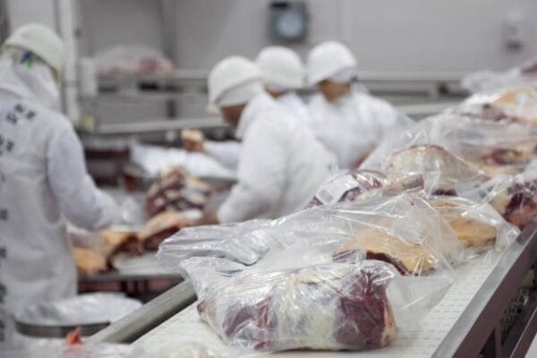 Las exportaciones de carne se consolidan en niveles récord y exploran nuevos mercados