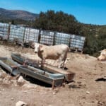 Países de la UE piden a la Comisión Europea un plan para combatir la desertificación, la degradación de la tierra y la sequía