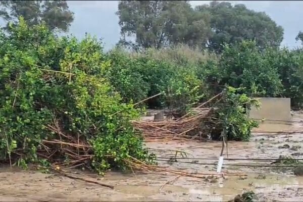 España de luto por la feroz dana que dejó decenas de fallecidos y además graves pérdidas en el agro