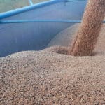 El precio del trigo alcanza su máximo en los últimos cuatro meses por las tensiones geopolíticas que arrastran al alza a cebada y maíz El precio del trigo alcanza su máximo en los últimos cuatro meses por las tensiones geopolíticas que arrastran al alza a cebada y maíz
