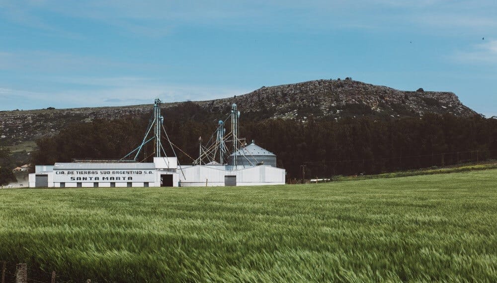 Una experiencia productiva en Balcarce: el maíz rotado con verdeos reduce la huella de carbono