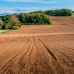 El Gobierno introduce nuevas flexibilidades en la PAC sobre la aplicación de los eco-regímenes y elimina la obligatoriedad de las geoetiquetas