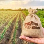 Acuerdo UE-Mercosur: La Comisión Europea prepara un Fondo de compensación para los agricultores que despierta más inquietud que tranquilidad
