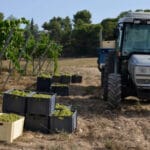 Hacienda compensará a las pymes agrarias y ganaderas que tributan por módulos por no aplicarles la rebaja del IVA