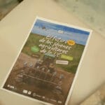 Soluciones para una incorporación real de los jóvenes a la actividad agraria y ganadera en una jornada con 150 personas en Sevilla