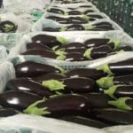 La interprofesional andaluza Hortyfruta vuelve a tener que activar la Extensión de Norma de Calidad para la berenjena larga/negra La interprofesional andaluza Hortyfruta vuelve a tener que activar la Extensión de Norma de Calidad para la berenjena larga/negra