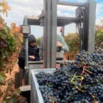 El Gobierno vasco dedica 7,3 millones en ayudas para la destilación de vinos de la DOCa Rioja y pagará 0,864€  por litro de tinto