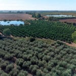 UPA da por cumplida la principal reivindicación de las tractoradas y de su acuerdo con el Gobierno: «La PAC se simplifica»