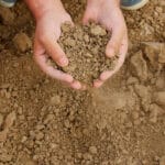 Andalucía aprobará una nueva línea de ayudas especiales para las explotaciones afectadas por la sequía extrema Andalucía aprobará una nueva línea de ayudas especiales para las explotaciones afectadas por la sequía extrema