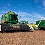 Volatilidad en los cereales con predominio de subidas en las lonjas nacionales mientras se presta atención a las tensiones internacionales