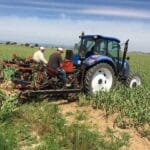 El sector hortofrutícola continúa con dificultades para encontrar y retener trabajadores por la alta temporalidad y la estacionalidad