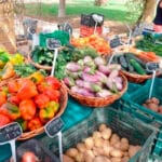 Andalucía impulsará la creación de una red de municipios con mercados locales ecológicos Andalucía impulsará la creación de una red de municipios con mercados locales ecológicos