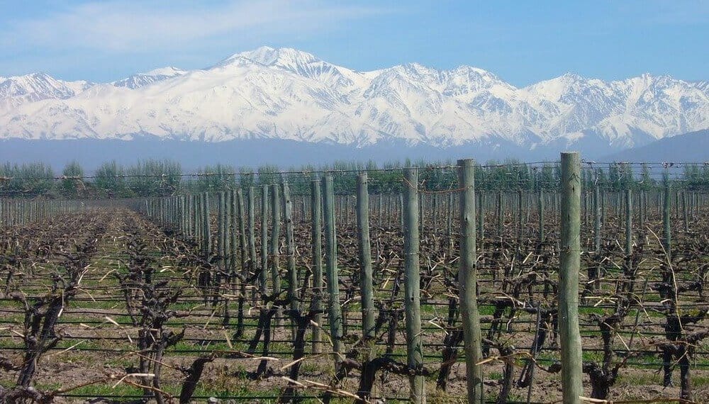 Una calculadora de huella de carbono de la vitivinicultura logró un importante aval mundial