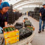 Planas asegura que las relaciones de España y de la UE con Marruecos están «por encima» de la sentencia del TJUE