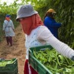 La justicia europea anula los acuerdos de productos agrícolas y pesca entre Marruecos y los Veintisiete aunque seguirán en vigor doce meses