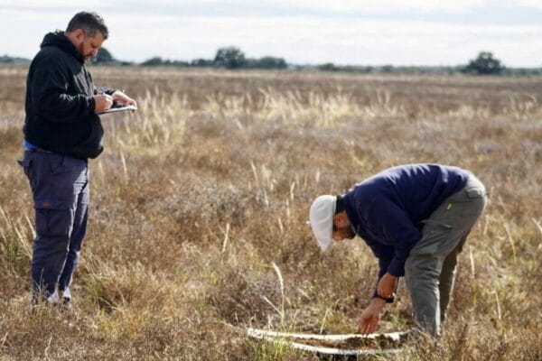 Agricultura regenerativa: 10 claves para entender su presente y futuro en Latinoamérica