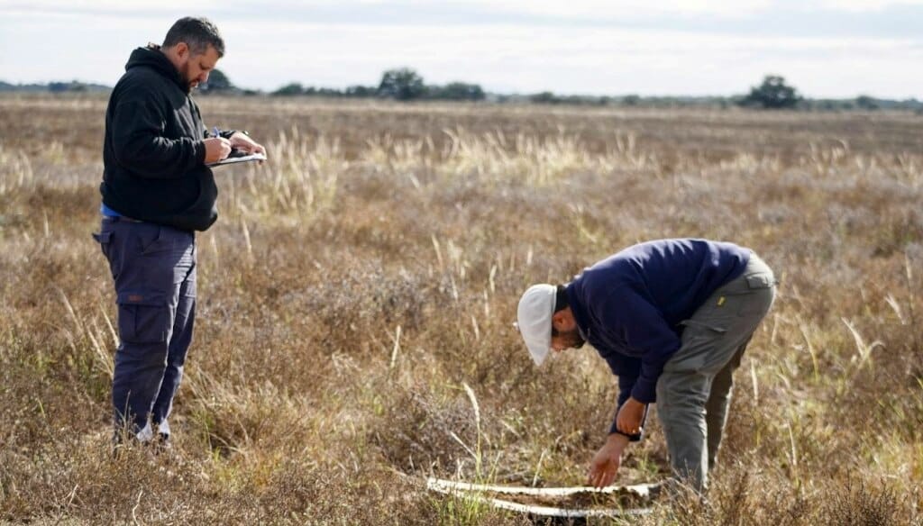 Agricultura regenerativa: 10 claves para entender su presente y futuro en Latinoamérica
