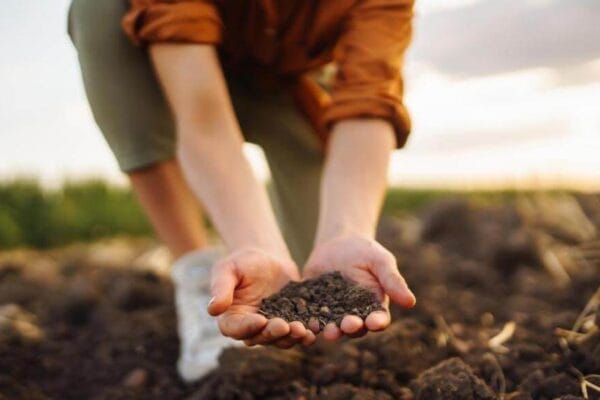 Sustentabilidad: en el campo argentino, reducir la huella de carbono ya es una “especialidad”